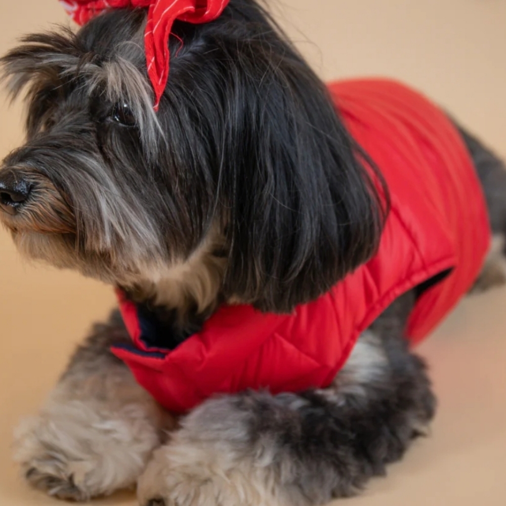 Polo Ralph Lauren Dog-Reversible Spring Puffer Jacket